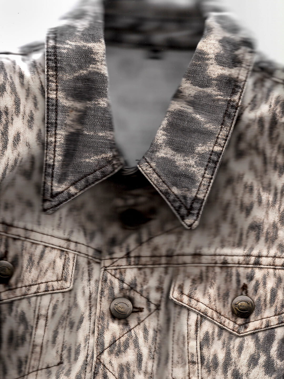 Cavalli Leopard Jacket